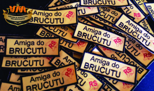 BRUCUTU_VMBORDADOS